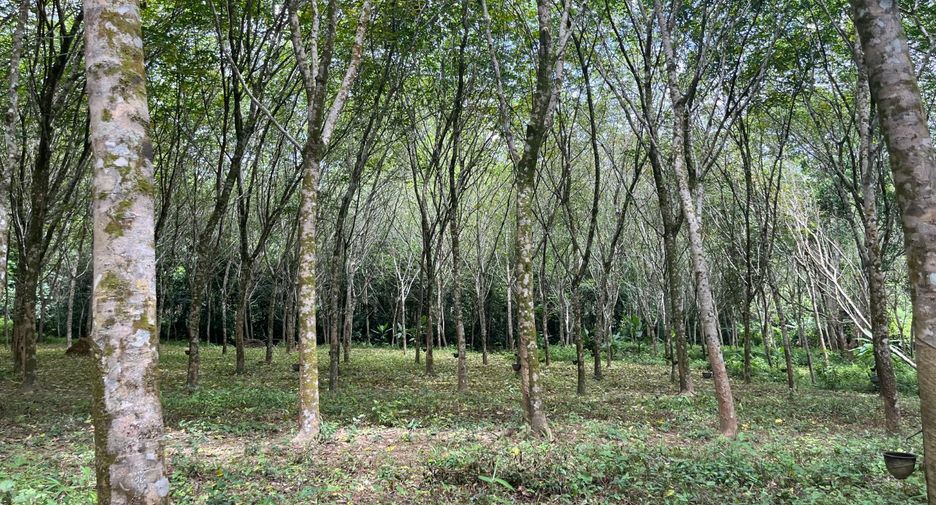 For sale land in Thai Mueang, Phang Nga