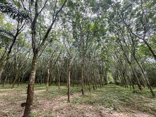 For sale land in Thai Mueang, Phang Nga