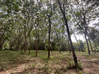 For sale land in Thai Mueang, Phang Nga