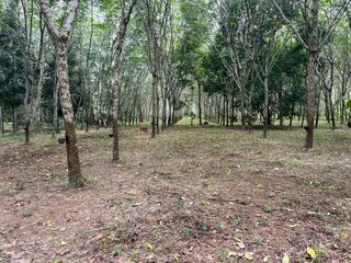 For sale land in Thai Mueang, Phang Nga
