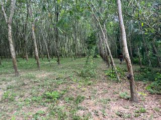 For sale land in Thai Mueang, Phang Nga