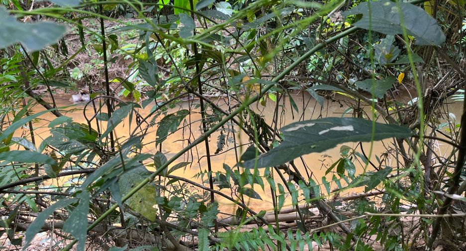 For sale land in Thai Mueang, Phang Nga