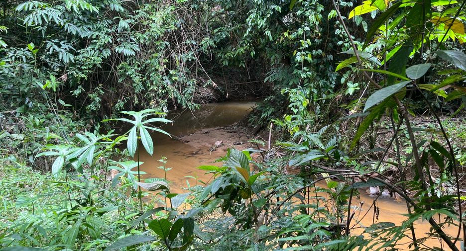 For sale land in Thai Mueang, Phang Nga