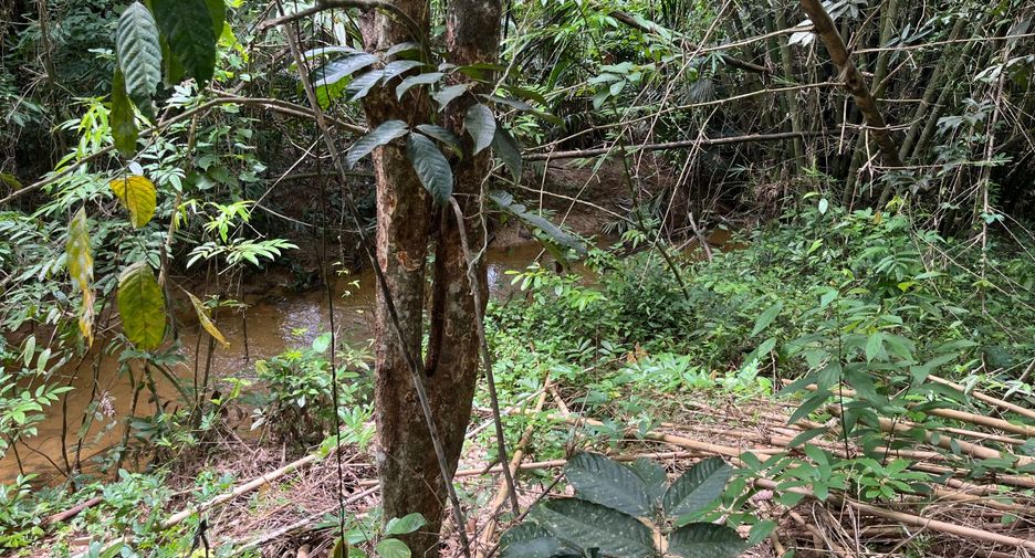 For sale land in Thai Mueang, Phang Nga