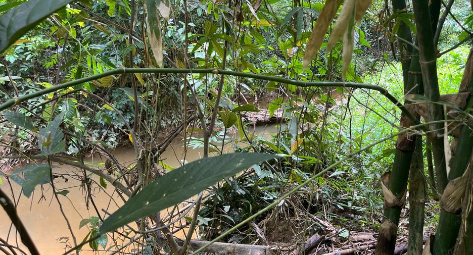 For sale land in Thai Mueang, Phang Nga
