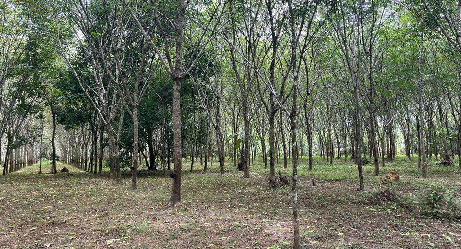 For sale land in Thai Mueang, Phang Nga