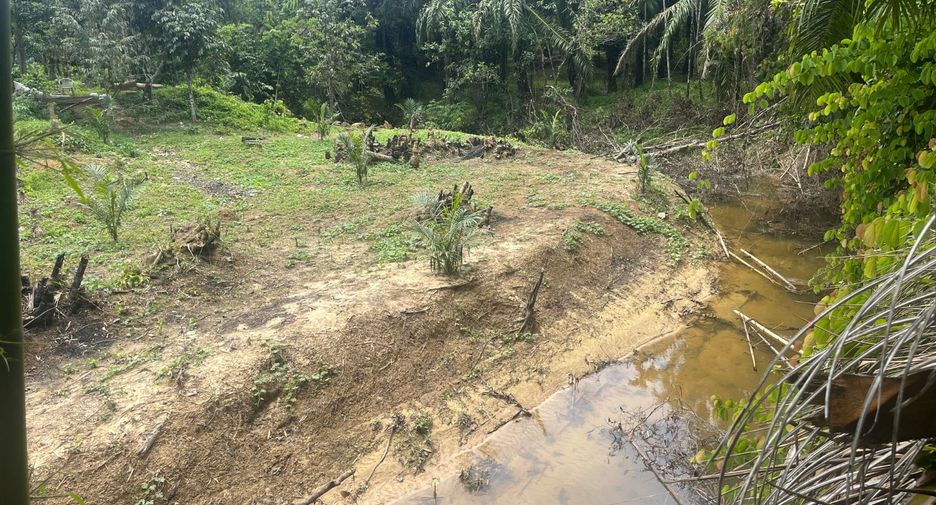 For sale land in Thai Mueang, Phang Nga