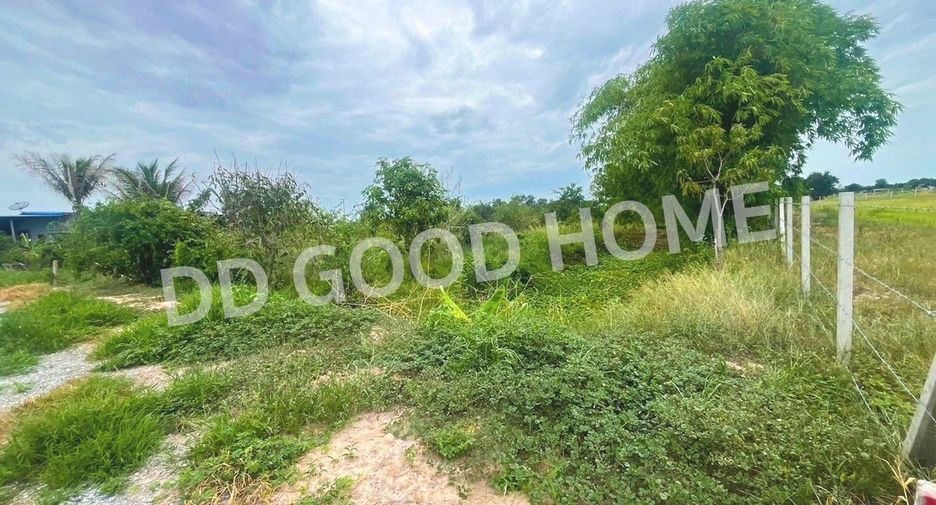 For sale land in Don Chedi, Suphan Buri