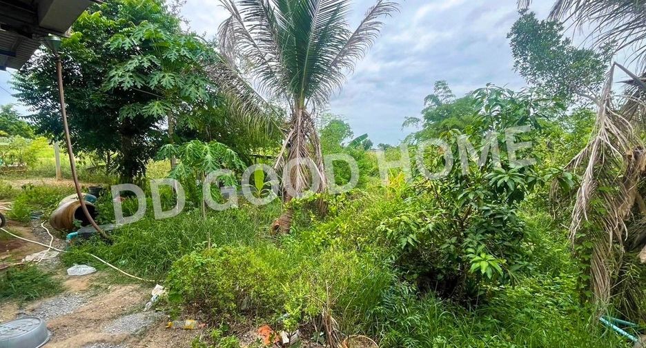For sale land in Don Chedi, Suphan Buri