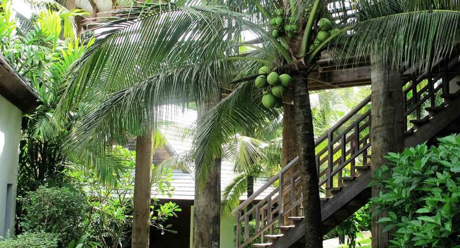 For sale 5 bedrooms villa in Ao Luek, Krabi