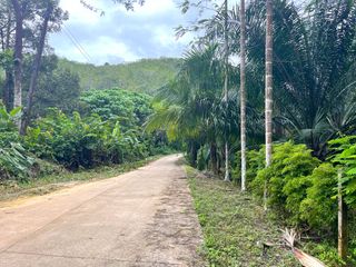 出售 土地 在 Takua Thung, Phangnga