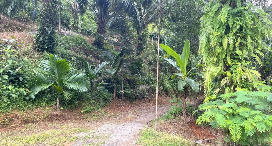 ขาย ที่ดิน ใน ตะกั่วทุ่ง, พังงา
