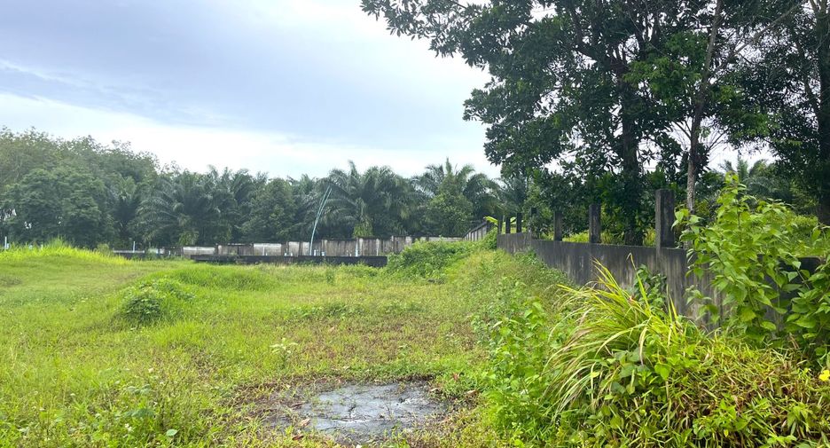 出售 土地 在 Takua Pa, Phangnga
