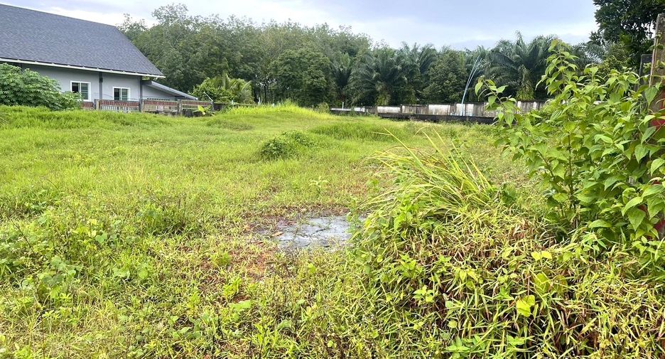 出售 土地 在 Takua Pa, Phangnga