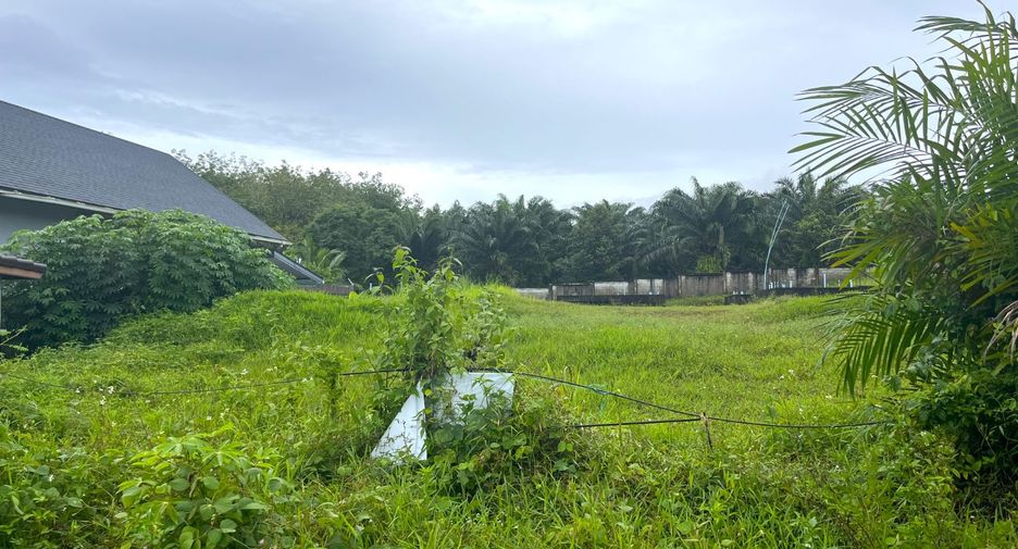 出售 土地 在 Takua Pa, Phangnga