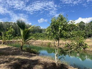 For sale land in Thai Mueang, Phang Nga