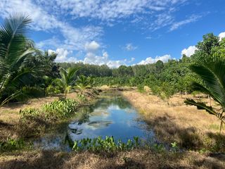 For sale land in Thai Mueang, Phang Nga