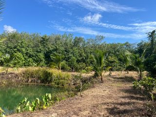 For sale land in Thai Mueang, Phang Nga