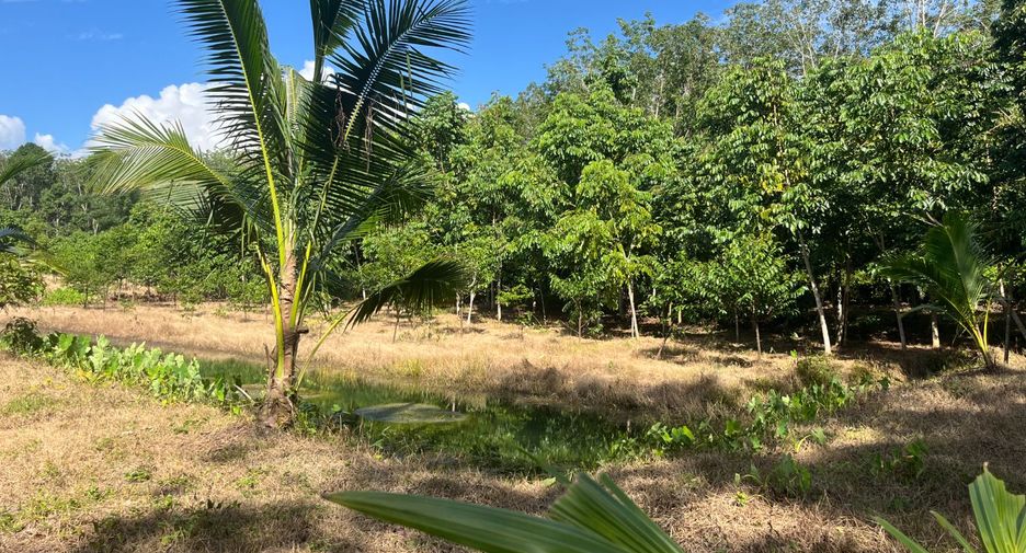 À vendre terrain à Thai Mueang, Phang Nga