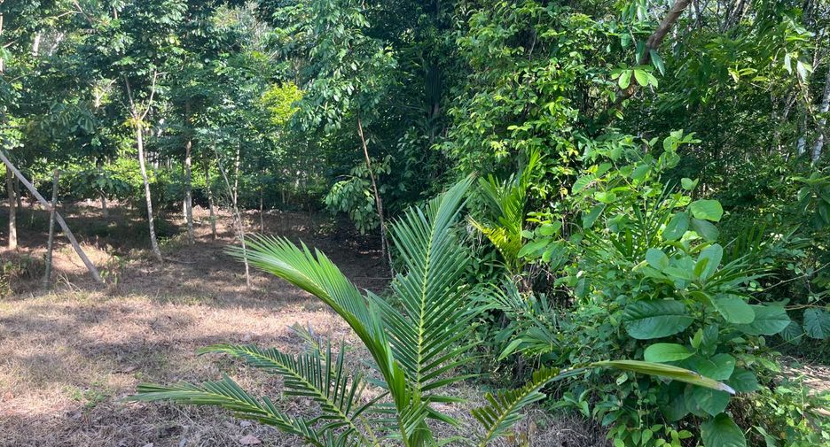 À vendre terrain à Thai Mueang, Phang Nga
