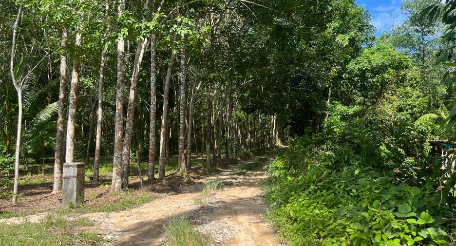 À vendre terrain à Thai Mueang, Phang Nga