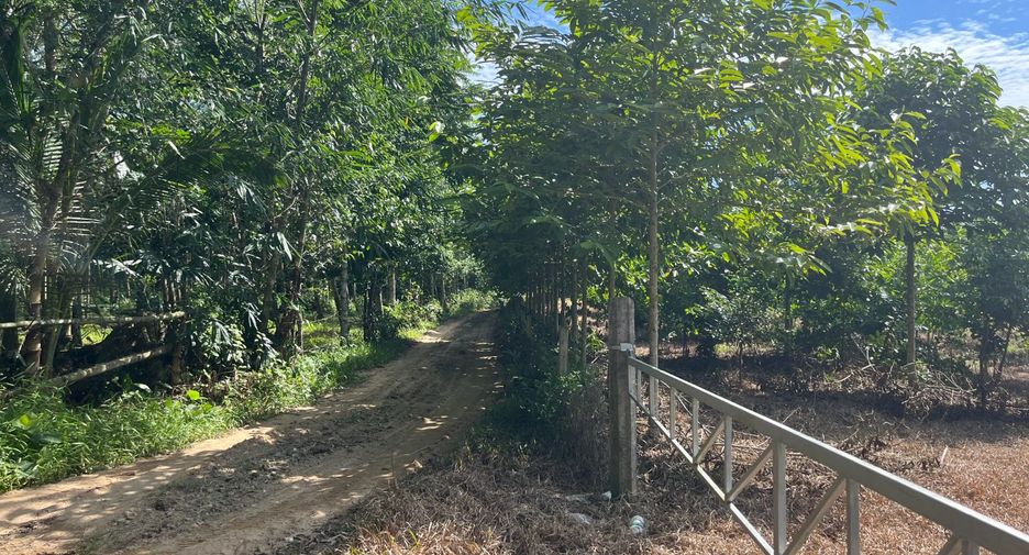 À vendre terrain à Thai Mueang, Phang Nga