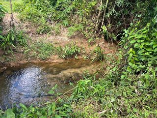 出售 土地 在 Takua Thung, Phangnga
