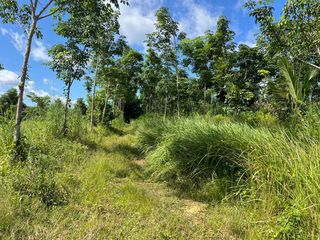 出售 土地 在 Takua Thung, Phangnga