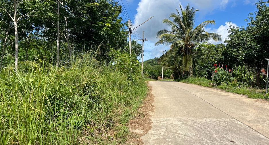 For sale land in Takua Thung, Phang Nga