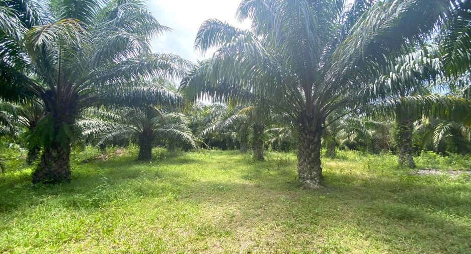Grundstück zum Kauf in Mueang Krabi, Krabi