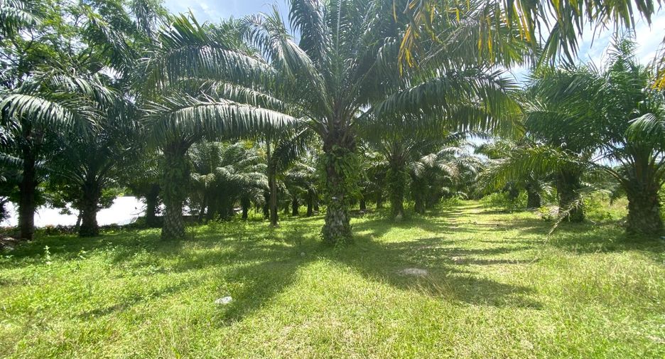 Grundstück zum Kauf in Mueang Krabi, Krabi