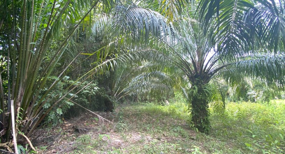 Grundstück zum Kauf in Mueang Krabi, Krabi