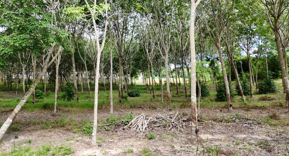 Grundstück zum Kauf in Mueang Krabi, Krabi