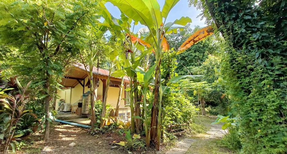 Casa en venta de estudio en Pai, Mae Hong Son