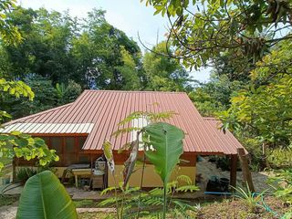For sale スタジオ house in Pai, Mae Hong Son