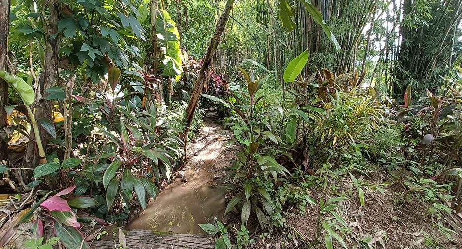 Casa en venta de estudio en Pai, Mae Hong Son
