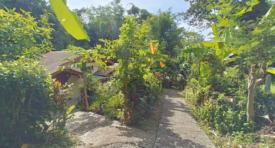 Casa en venta de estudio en Pai, Mae Hong Son