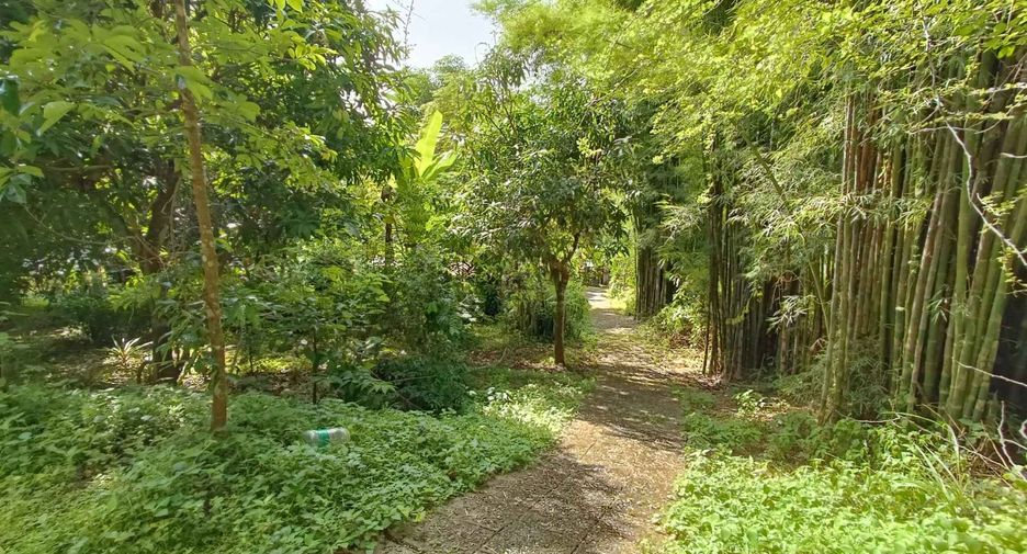 Casa en venta de estudio en Pai, Mae Hong Son