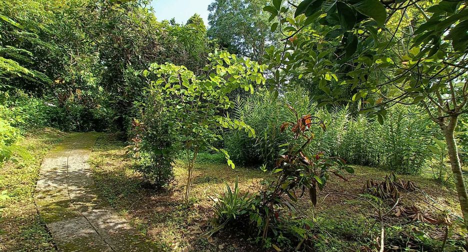 Casa en venta de estudio en Pai, Mae Hong Son