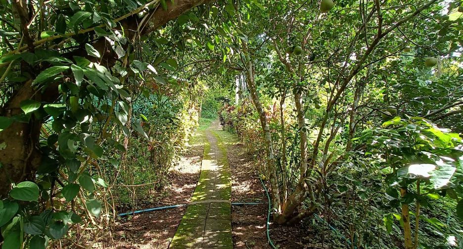 Casa en venta de estudio en Pai, Mae Hong Son