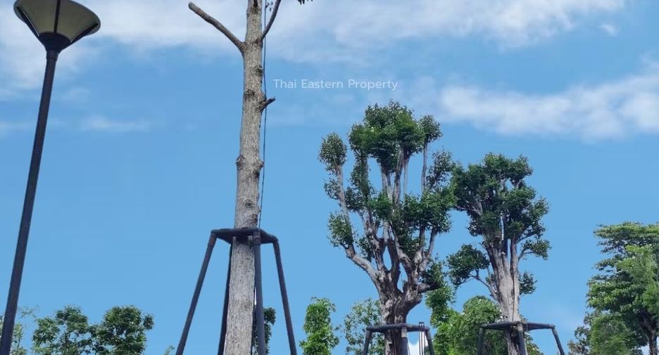 ให้เช่า และ ขาย 4 ห้องนอน บ้านเดี่ยว ใน บางละมุง, ชลบุรี