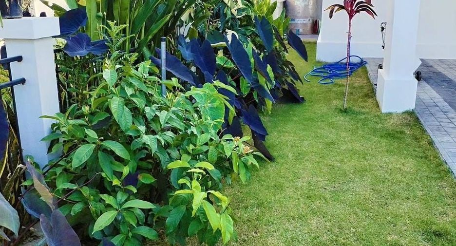 Haus zum Kauf mit 4 Zimmer in San Kamphaeng, Chiang Mai