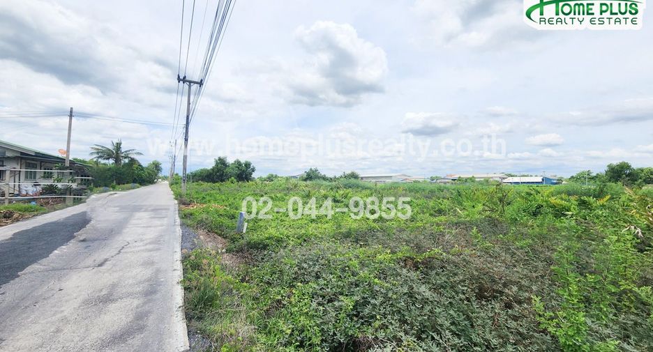 出售 土地 在 Lat Lum Kaeo, Pathum Thani
