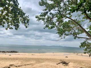 ขาย ที่ดิน ใน เหนือคลอง, กระบี่