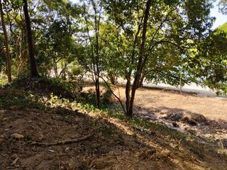 ขาย ที่ดิน ใน เหนือคลอง, กระบี่