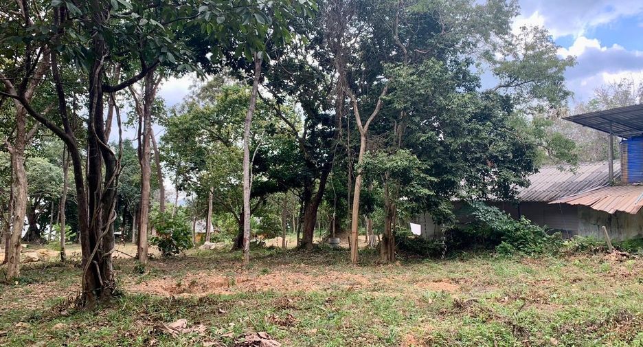 出售 土地 在 Nuea Khlong, Krabi