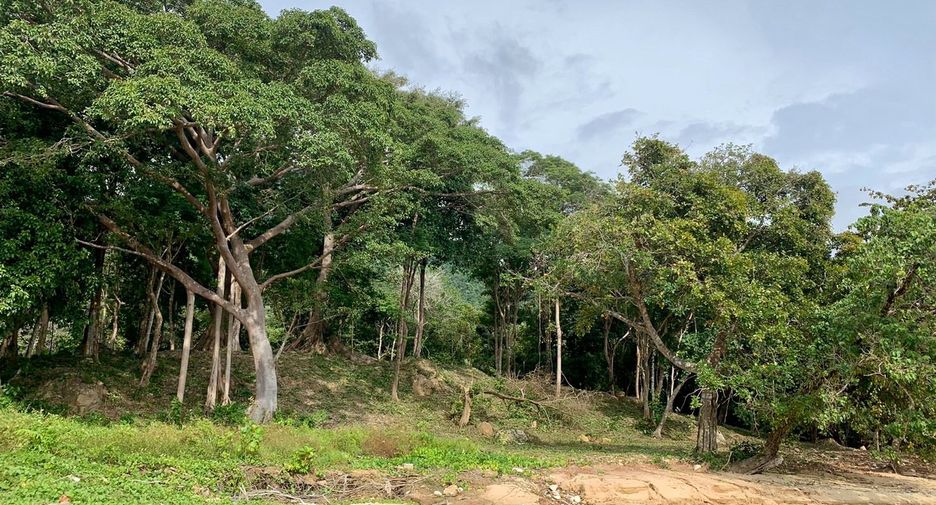 出售 土地 在 Nuea Khlong, Krabi