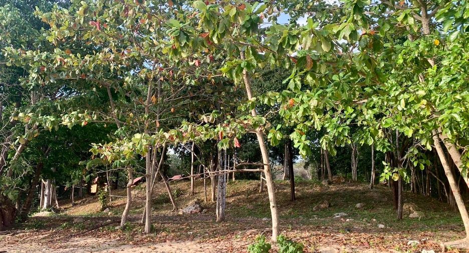出售 土地 在 Nuea Khlong, Krabi
