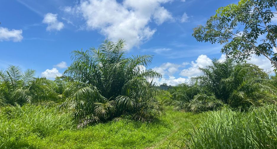 For sale land in Thai Mueang, Phang Nga