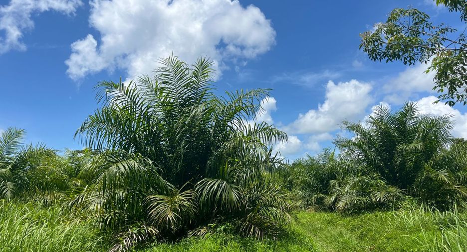 For sale land in Thai Mueang, Phang Nga